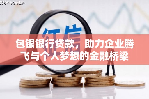 芦淞包银银行贷款，助力企业腾飞与个人梦想的金融桥梁