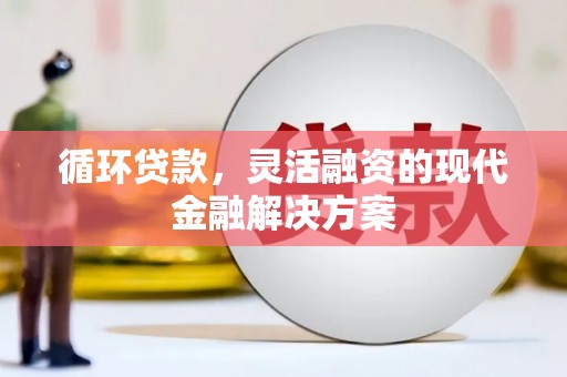 芦淞循环贷款，灵活融资的现代金融解决方案