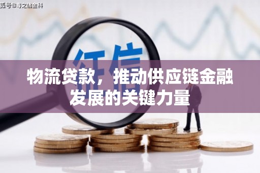芦淞物流贷款，推动供应链金融发展的关键力量