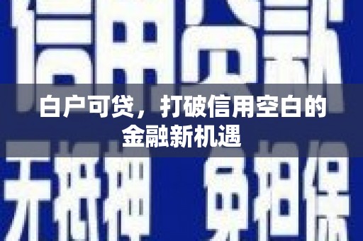 芦淞白户可贷，打破信用空白的金融新机遇