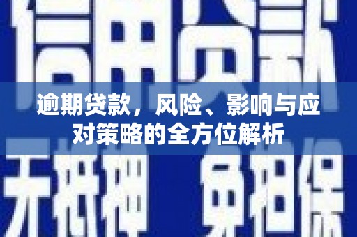 芦淞逾期贷款，风险、影响与应对策略的全方位解析