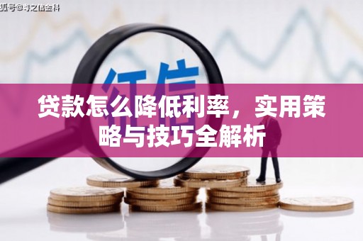 芦淞贷款怎么降低利率，实用策略与技巧全解析