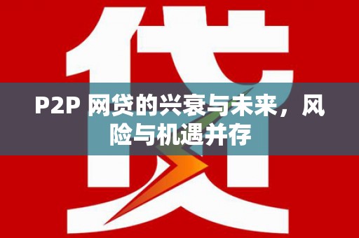 芦淞P2P 网贷的兴衰与未来，风险与机遇并存
