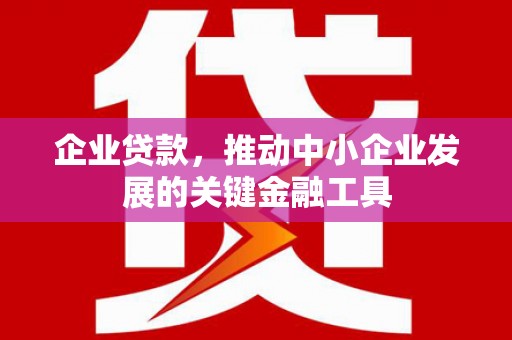 芦淞企业贷款，推动中小企业发展的关键金融工具