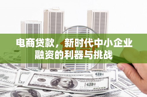 芦淞电商贷款，新时代中小企业融资的利器与挑战