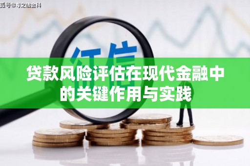 芦淞贷款风险评估在现代金融中的关键作用与实践