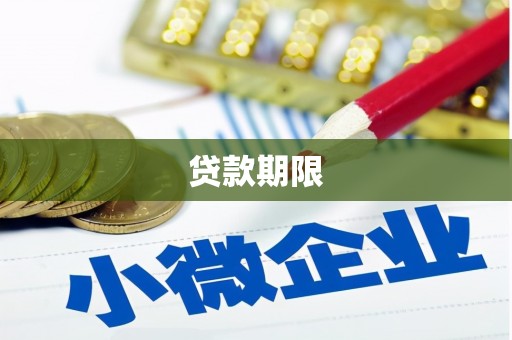 芦淞贷款期限