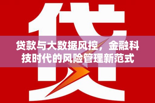芦淞贷款与大数据风控，金融科技时代的风险管理新范式