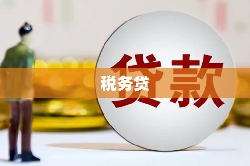 芦淞税务贷