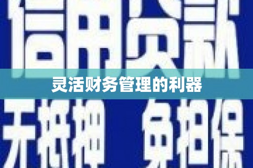 芦淞灵活财务管理的利器