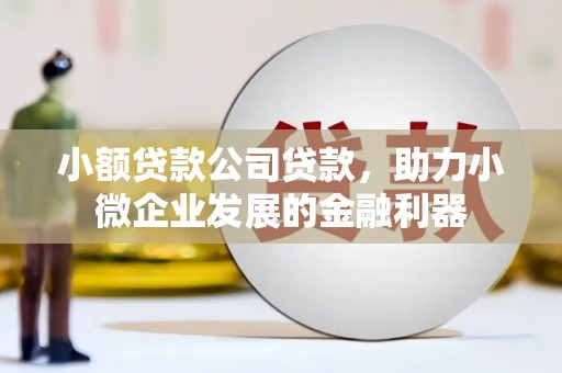 芦淞小额贷款公司贷款，助力小微企业发展的金融利器