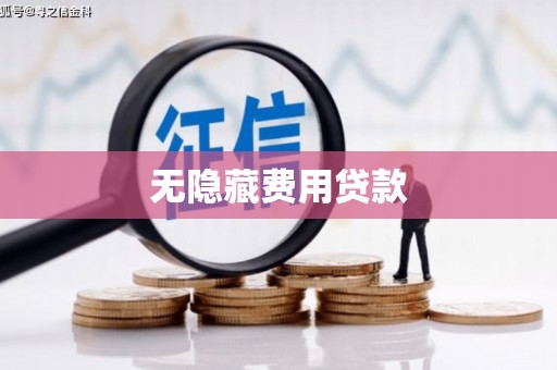 芦淞无隐藏费用贷款