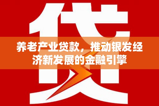 芦淞养老产业贷款，推动银发经济新发展的金融引擎