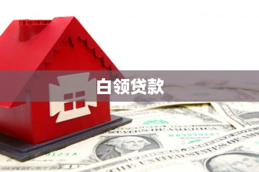 芦淞白领贷款