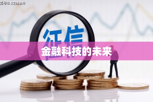 芦淞金融科技的未来