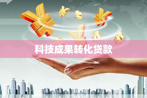 芦淞科技成果转化贷款