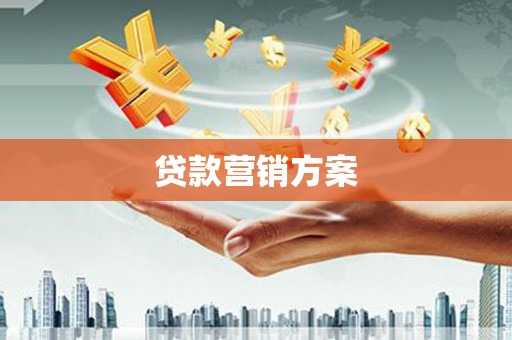 芦淞贷款营销方案