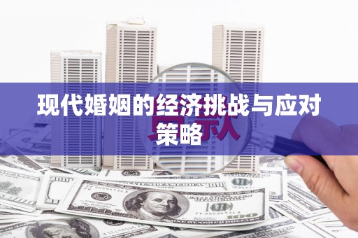 芦淞现代婚姻的经济挑战与应对策略