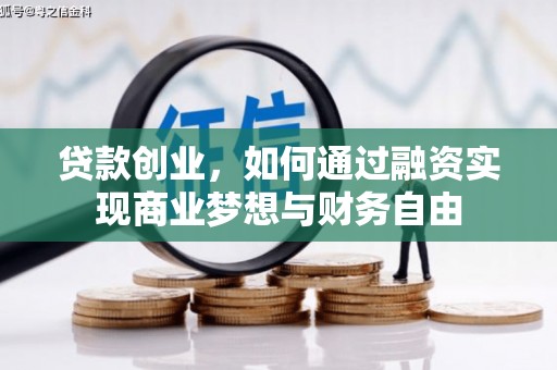 芦淞贷款创业，如何通过融资实现商业梦想与财务自由