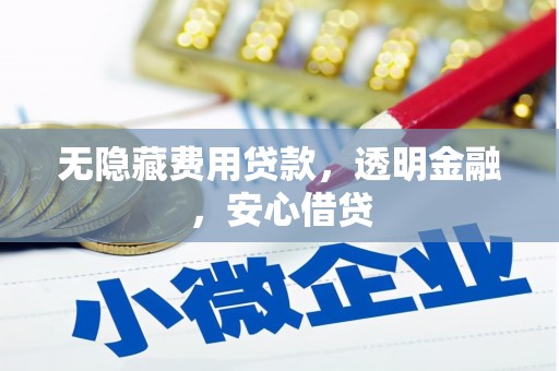 芦淞无隐藏费用贷款，透明金融，安心借贷