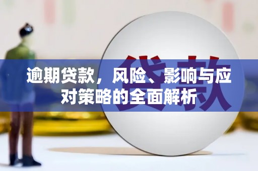 芦淞逾期贷款，风险、影响与应对策略的全面解析