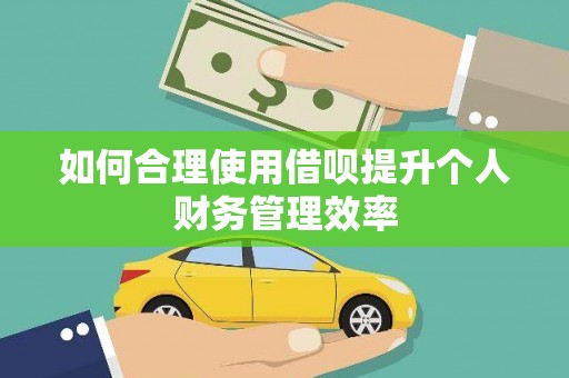 芦淞如何合理使用借呗提升个人财务管理效率