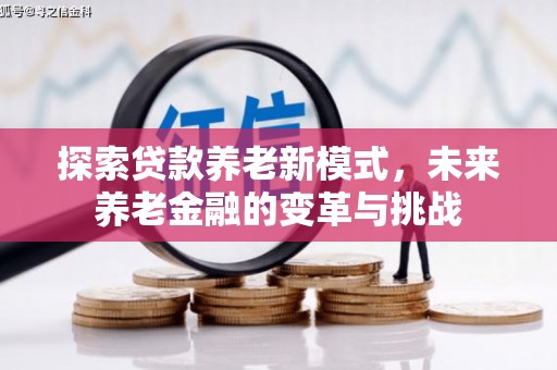 芦淞探索贷款养老新模式，未来养老金融的变革与挑战