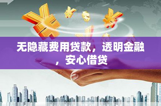 芦淞无隐藏费用贷款，透明金融，安心借贷