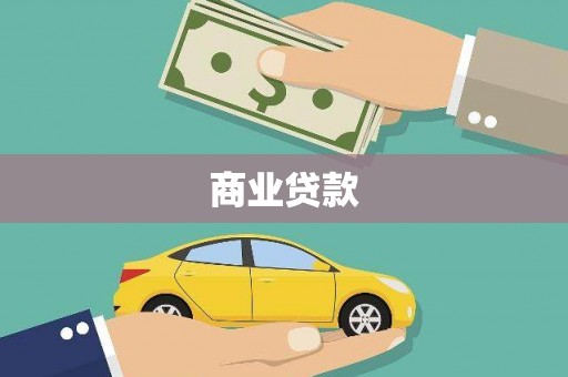 芦淞商业贷款