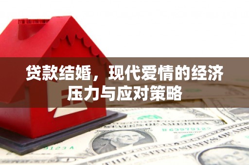 芦淞贷款结婚，现代爱情的经济压力与应对策略