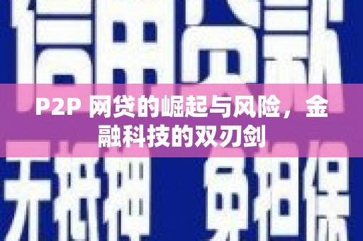 芦淞P2P 网贷的崛起与风险，金融科技的双刃剑