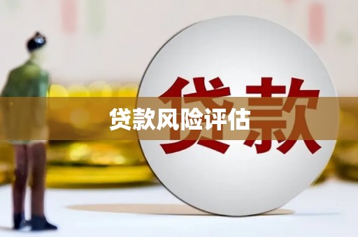 芦淞贷款风险评估