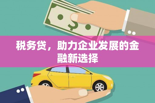 芦淞税务贷，助力企业发展的金融新选择