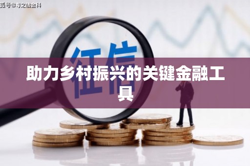 芦淞助力乡村振兴的关键金融工具