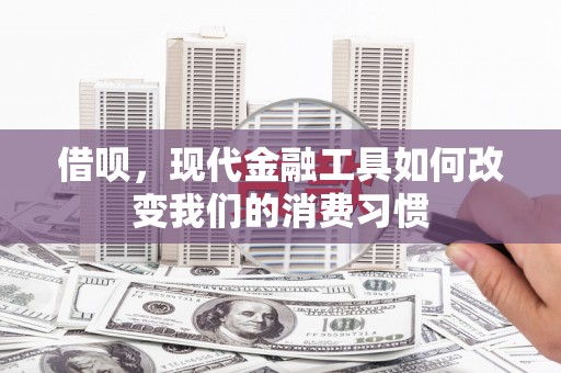 芦淞借呗，现代金融工具如何改变我们的消费习惯