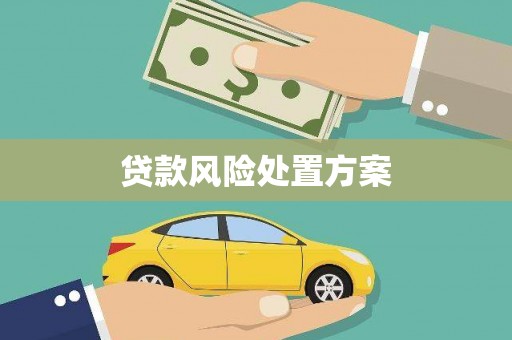 芦淞贷款风险处置方案