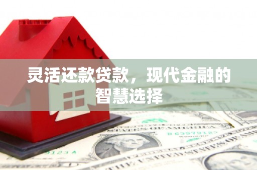芦淞灵活还款贷款，现代金融的智慧选择