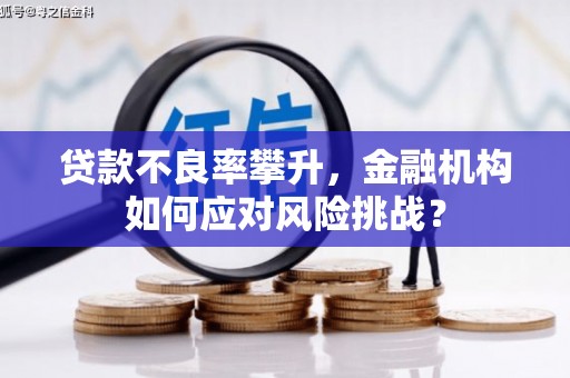 芦淞贷款不良率攀升，金融机构如何应对风险挑战？