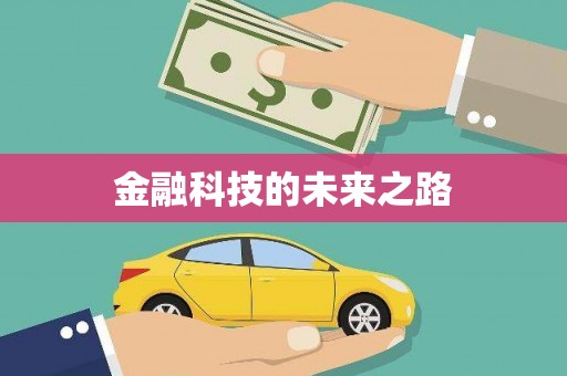 芦淞金融科技的未来之路