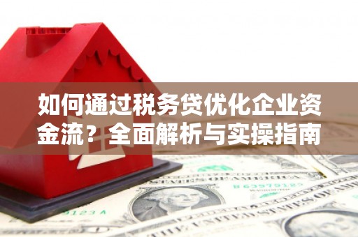 芦淞如何通过税务贷优化企业资金流？全面解析与实操指南