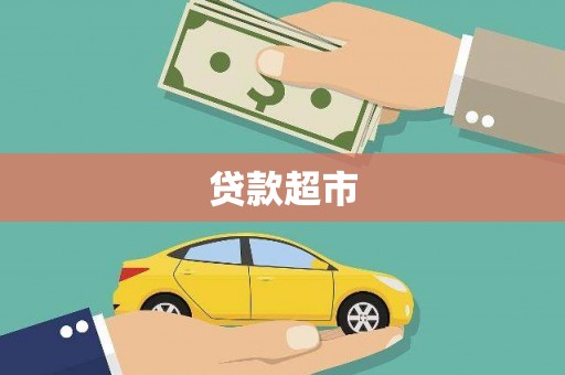 芦淞贷款超市