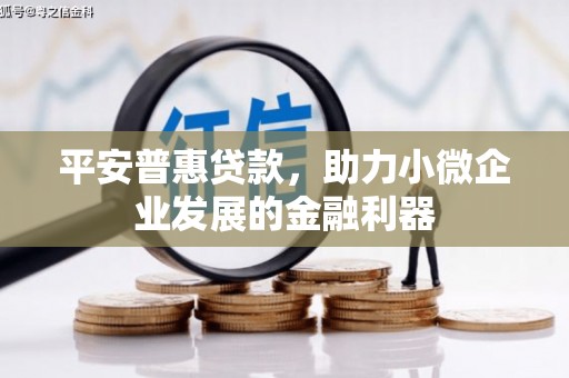 芦淞平安普惠贷款，助力小微企业发展的金融利器