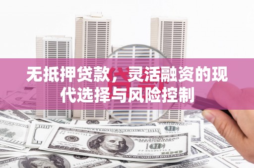芦淞无抵押贷款，灵活融资的现代选择与风险控制