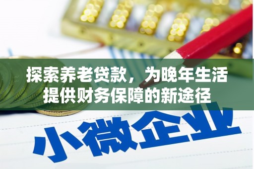 芦淞探索养老贷款，为晚年生活提供财务保障的新途径