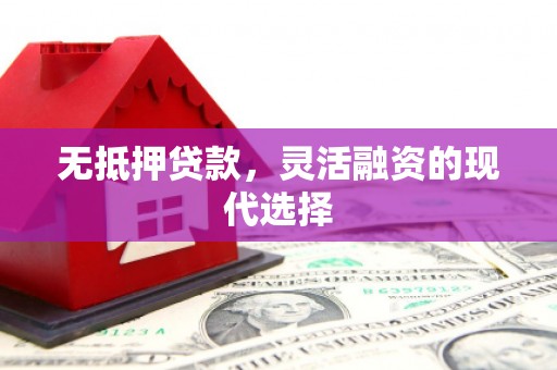芦淞无抵押贷款，灵活融资的现代选择