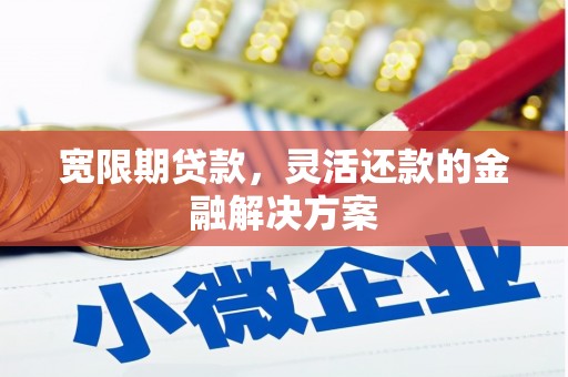芦淞宽限期贷款，灵活还款的金融解决方案