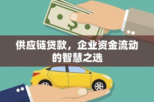 芦淞供应链贷款，企业资金流动的智慧之选