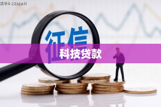 芦淞科技贷款