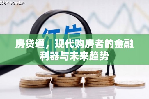 芦淞房贷通，现代购房者的金融利器与未来趋势