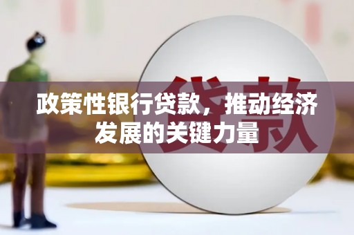 芦淞政策性银行贷款，推动经济发展的关键力量